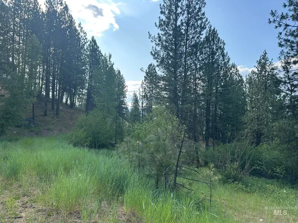 $214,000 | Tbd Tbd White Pine Garden Valley, Garden Valley, ID 83622