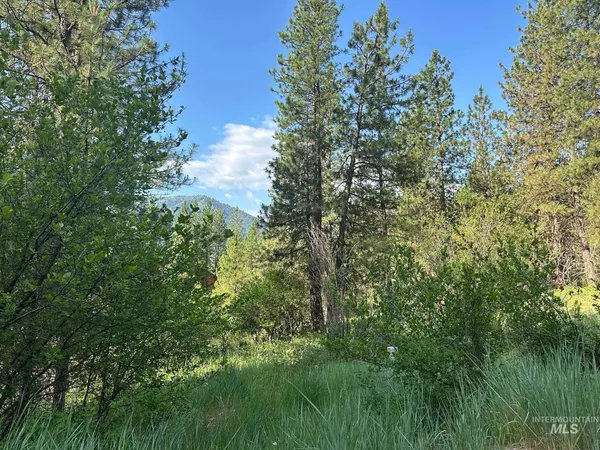 $214,000 | Tbd Tbd White Pine Garden Valley, Garden Valley, ID 83622