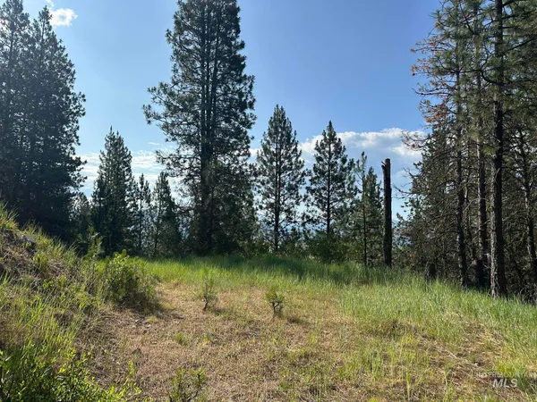 $214,000 | Tbd Tbd White Pine Garden Valley, Garden Valley, ID 83622