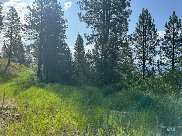 $214,000 | Tbd Tbd White Pine Garden Valley, Garden Valley, ID 83622