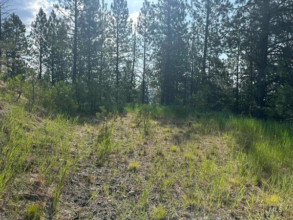 $214,000 | Tbd Tbd White Pine Garden Valley, Garden Valley, ID 83622