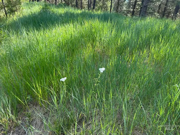 $214,000 | Tbd Tbd White Pine Garden Valley, Garden Valley, ID 83622