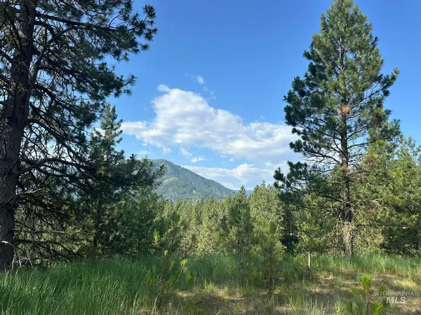 $214,000 | Tbd Tbd White Pine Garden Valley, Garden Valley, ID 83622