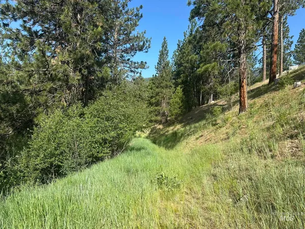 $214,000 | Tbd Tbd White Pine Garden Valley, Garden Valley, ID 83622
