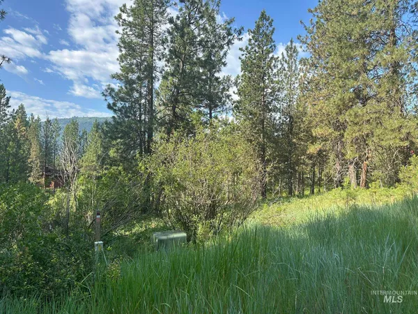 $214,000 | Tbd Tbd White Pine Garden Valley, Garden Valley, ID 83622