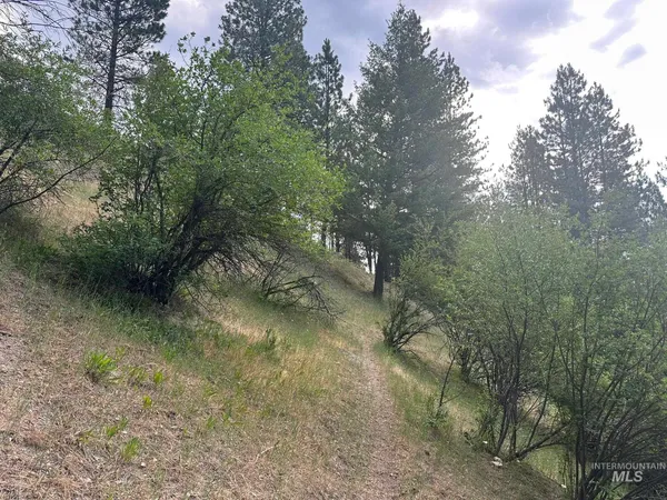$214,000 | Tbd Tbd White Pine Garden Valley, Garden Valley, ID 83622