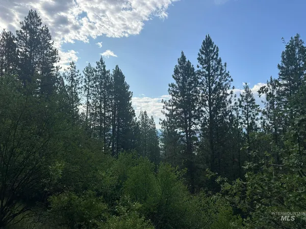 $214,000 | Tbd Tbd White Pine Garden Valley, Garden Valley, ID 83622