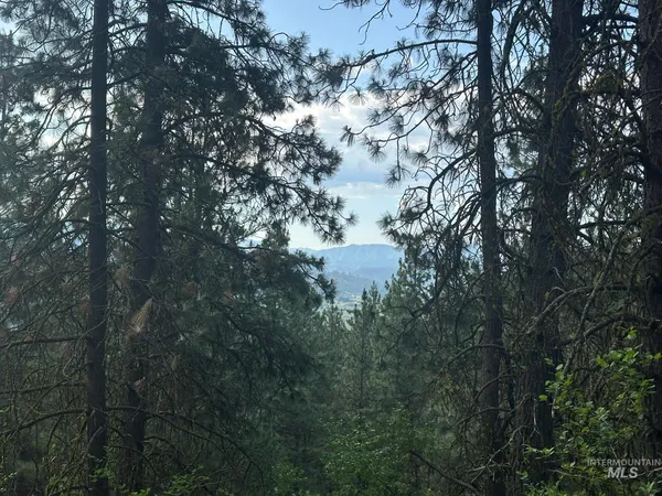 $214,000 | Tbd Tbd White Pine Garden Valley, Garden Valley, ID 83622