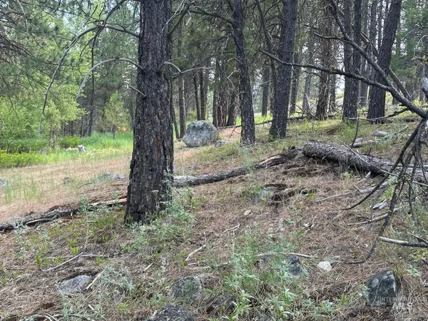 $214,000 | Tbd Tbd White Pine Garden Valley, Garden Valley, ID 83622