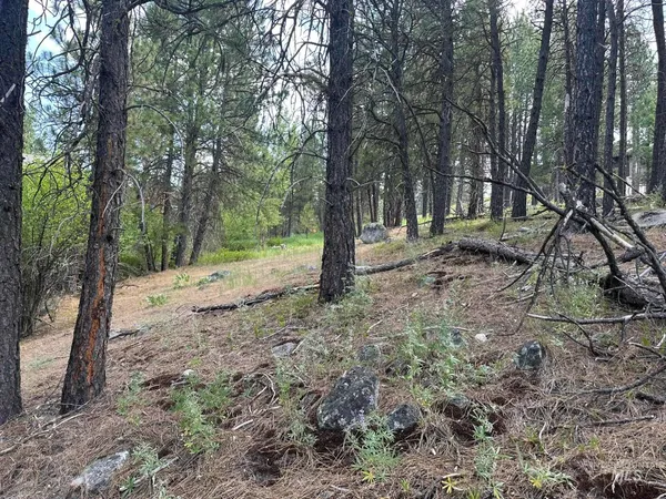 $214,000 | Tbd Tbd White Pine Garden Valley, Garden Valley, ID 83622