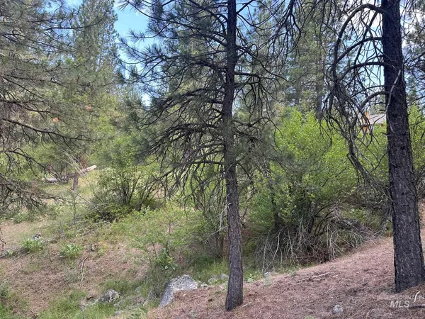 $214,000 | Tbd Tbd White Pine Garden Valley, Garden Valley, ID 83622
