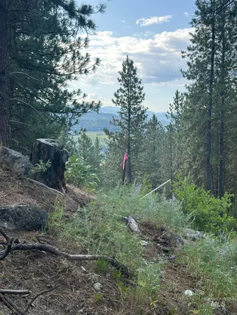 $214,000 | Tbd Tbd White Pine Garden Valley, Garden Valley, ID 83622