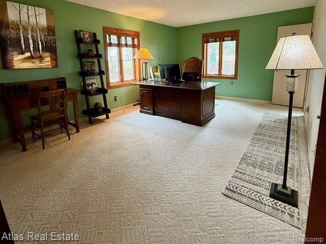 9010 Gale Road Goodrich, MI 48438 - Photo 32 of 52