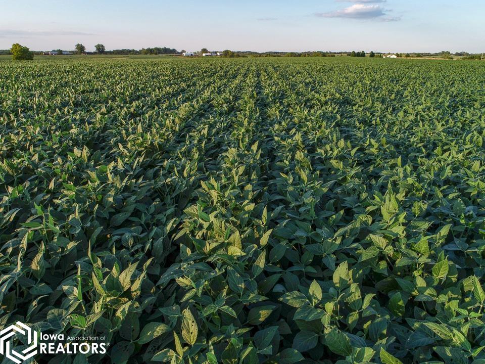22271 Bluegrass Road Ottumwa, IA 52501 - Photo 16 of 18 Gallery Image 16