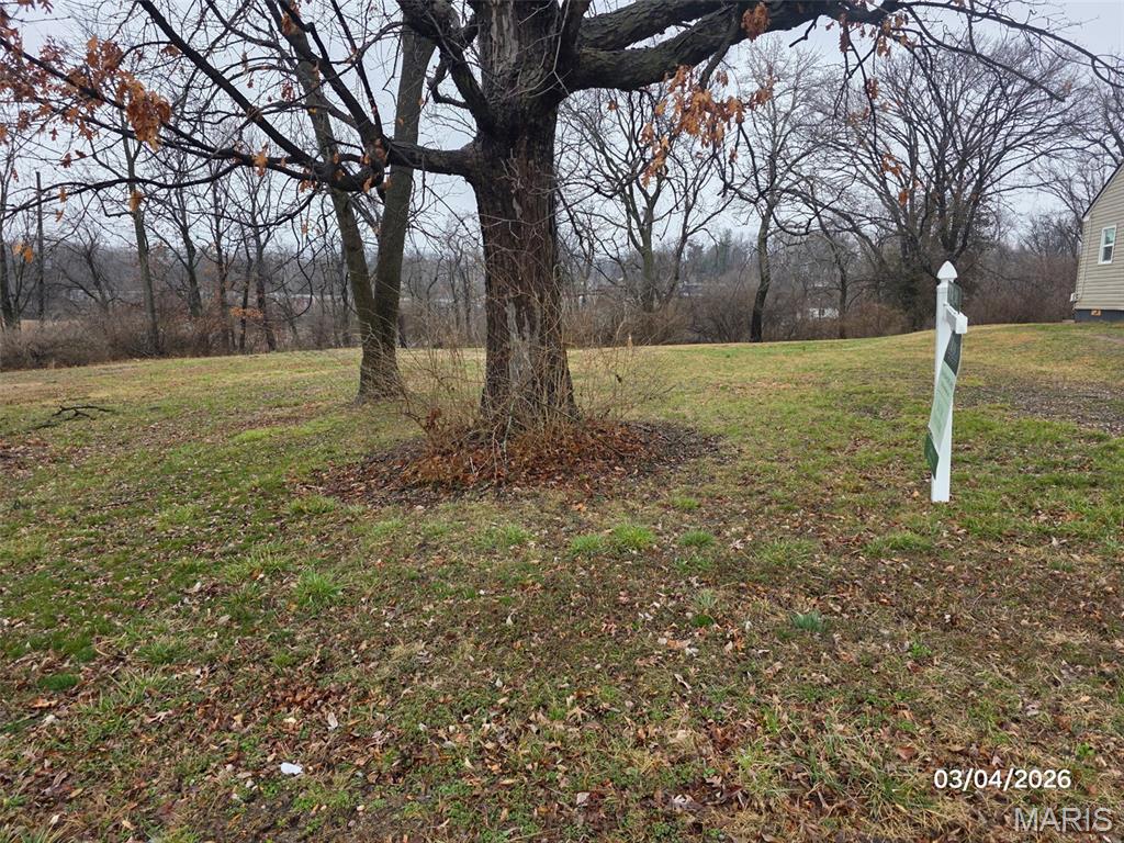 10861 Lacklink Road St. Louis, MO 63114 - Photo 2 of 2