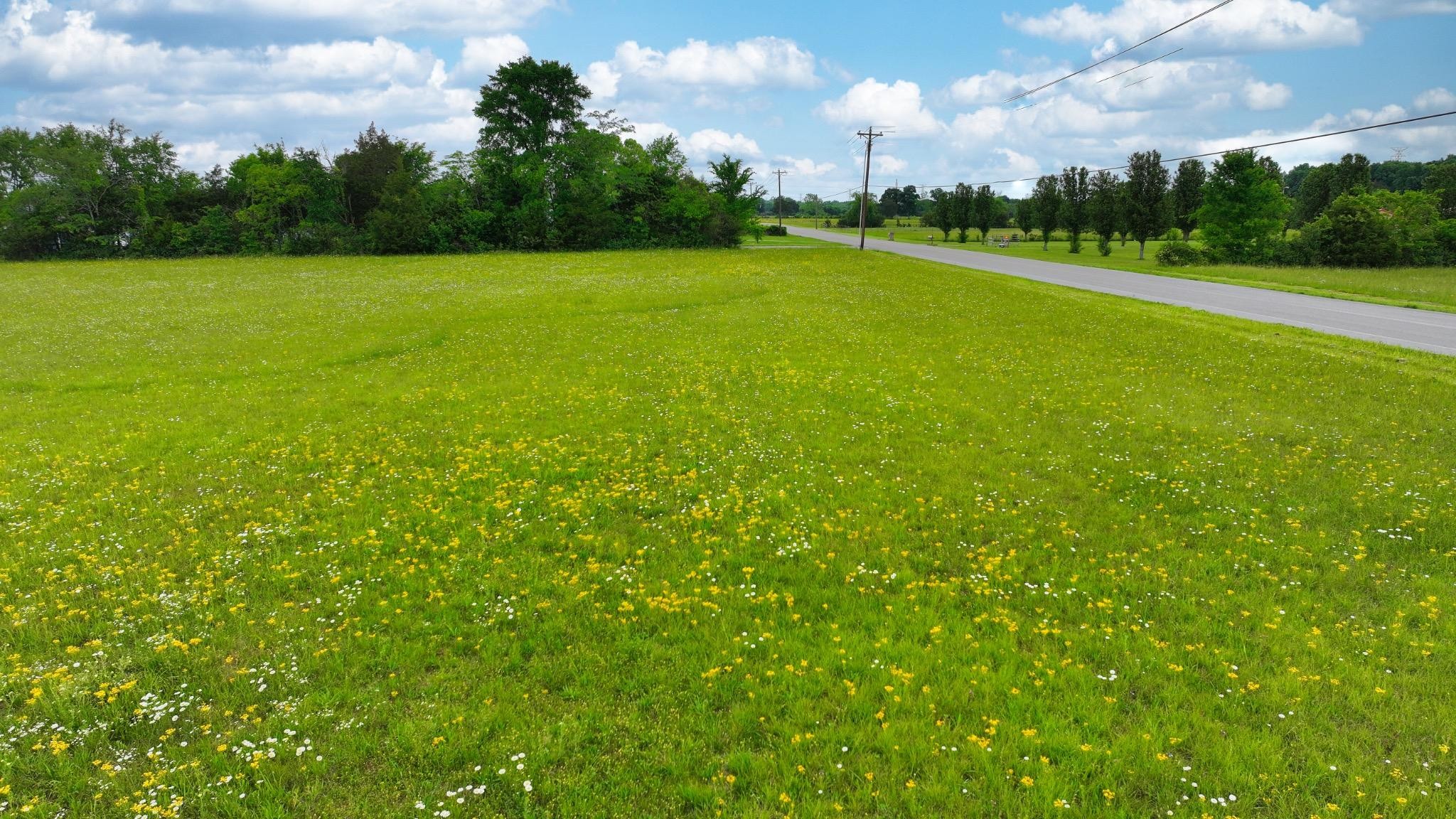 1 Sledge Road Christiana, TN 37037 - Photo 29 of 32 Gallery Image 29