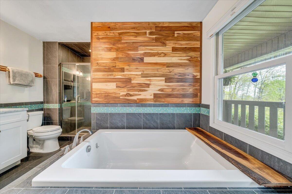 856 Ridge Mountain Drive Boones Mill, VA 24065 - Photo 29 of 66 a bathroom with a toilet and a bathtub