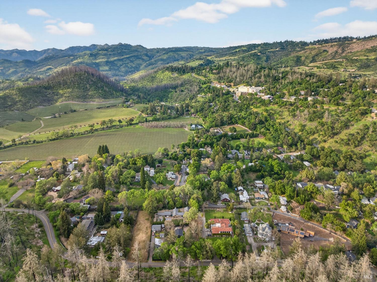 0 420 Glass Mountain Rd Street St. Helena, CA 94574 - Photo 14 of 20