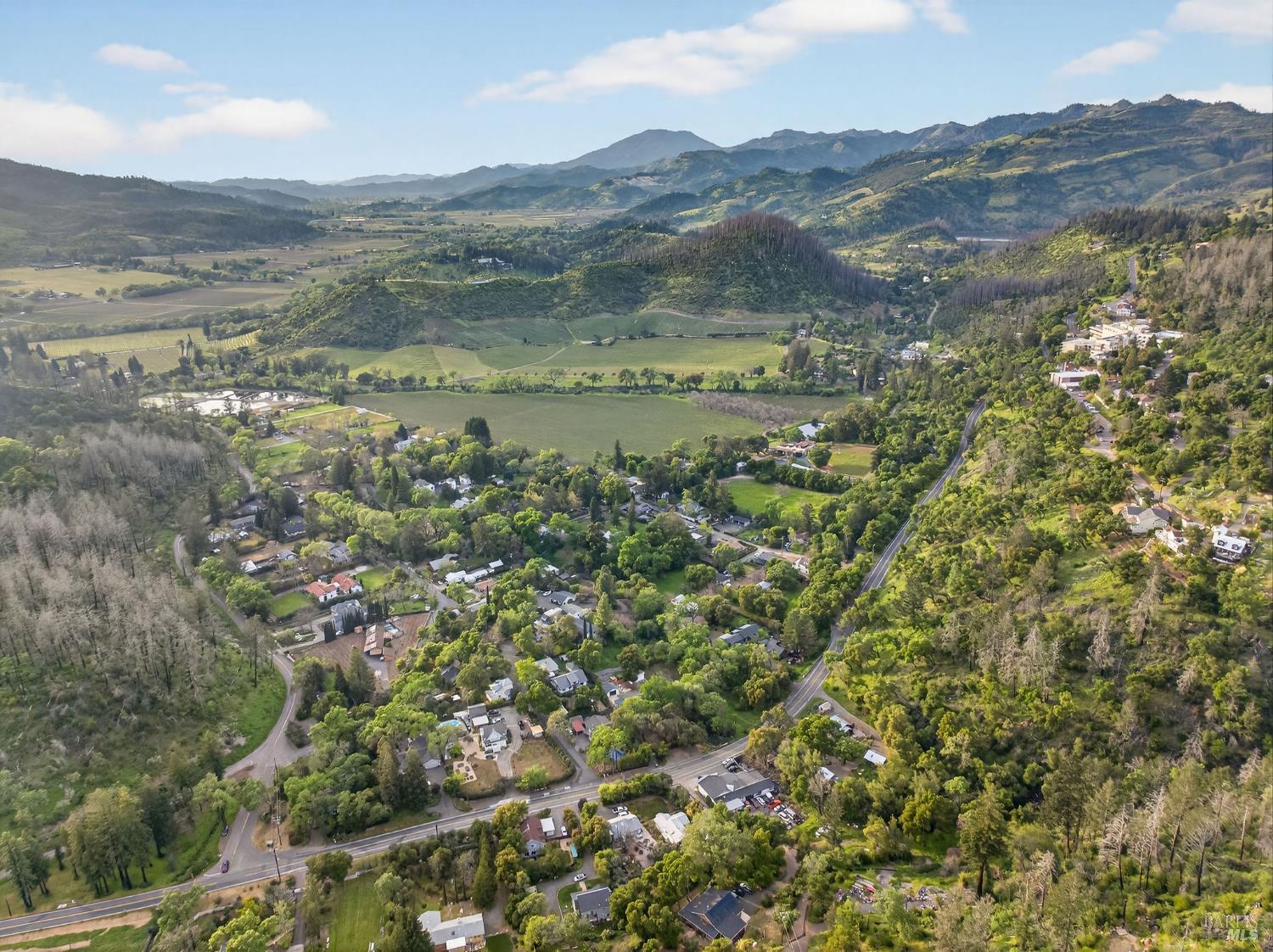 0 420 Glass Mountain Rd Street St. Helena, CA 94574 - Photo 16 of 20