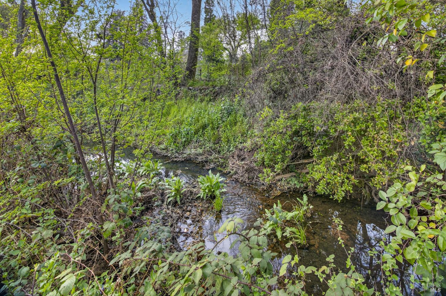 0 420 Glass Mountain Rd Street St. Helena, CA 94574 - Photo 18 of 20