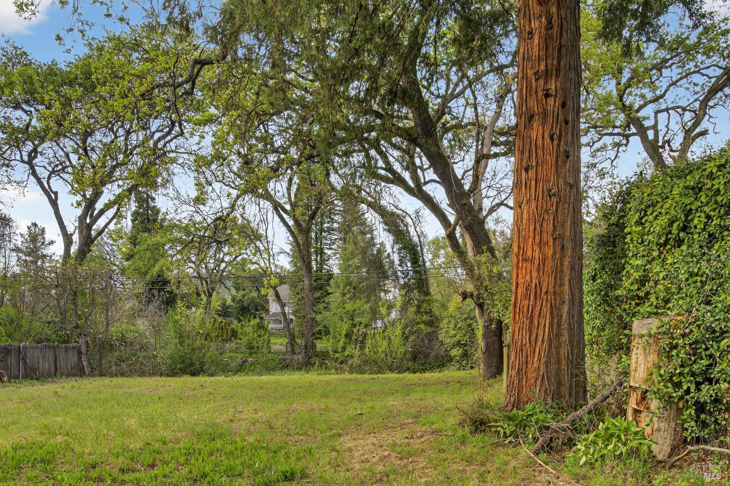 0 420 Glass Mountain Rd Street St. Helena, CA 94574 - Photo 19 of 20