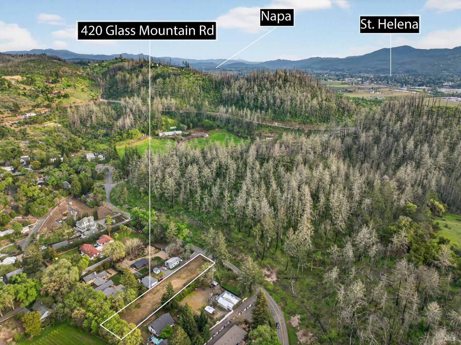 0 420 Glass Mountain Rd Street St. Helena, CA 94574 - Photo 4 of 20