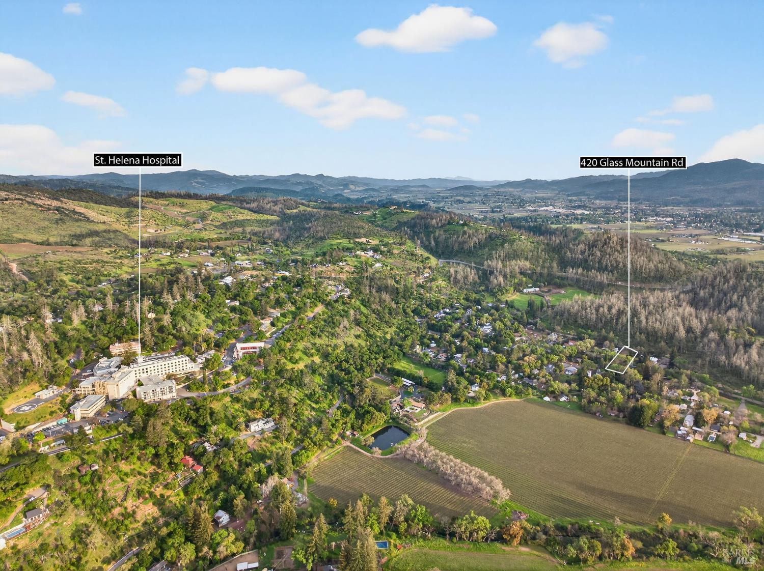 0 420 Glass Mountain Rd Street St. Helena, CA 94574 - Photo 6 of 20