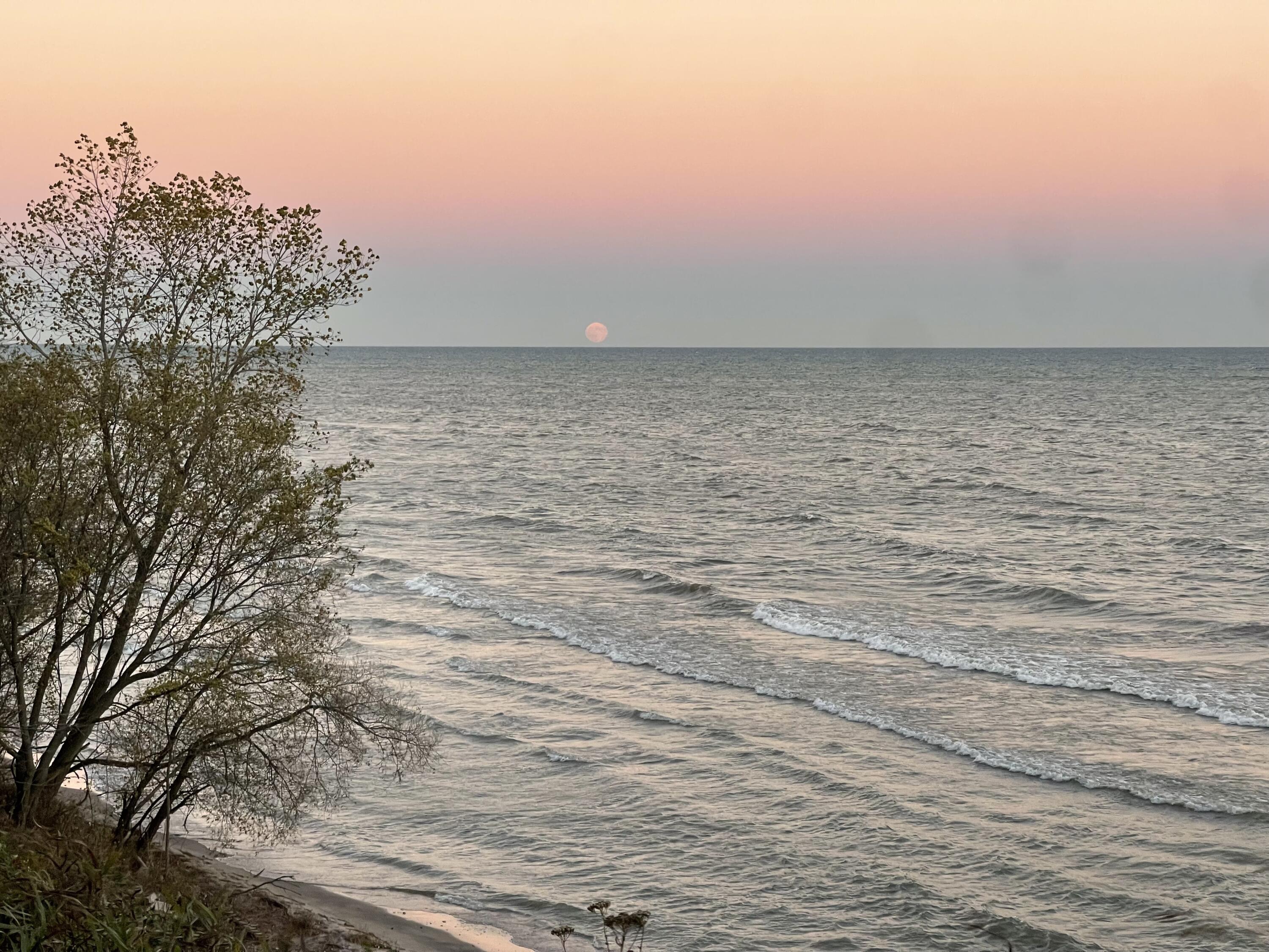 12435 Lakeshore Road Centerville, WI 53015 - Photo 46 of 56 IMG_7055