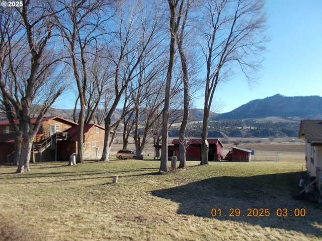 a view of yard with tree in front of it