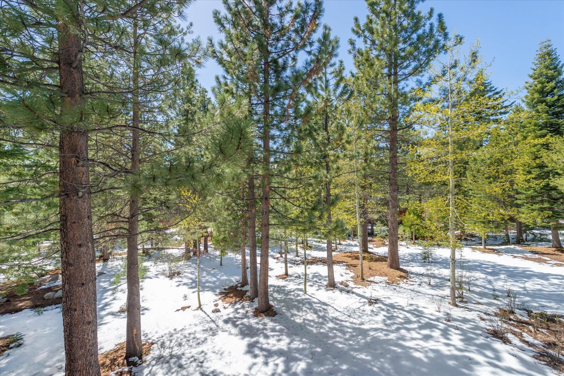 15284 Wolfgang Road Truckee, CA 96161 - Photo 28 of 28