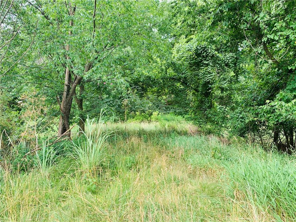 a view of a lush green space