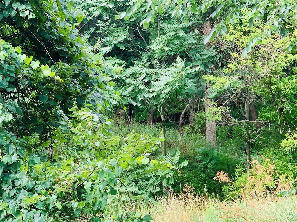 1138 Logan Road Bethel Park, PA 15102 - Photo 12 of 15 a backyard of a house with lots of plants