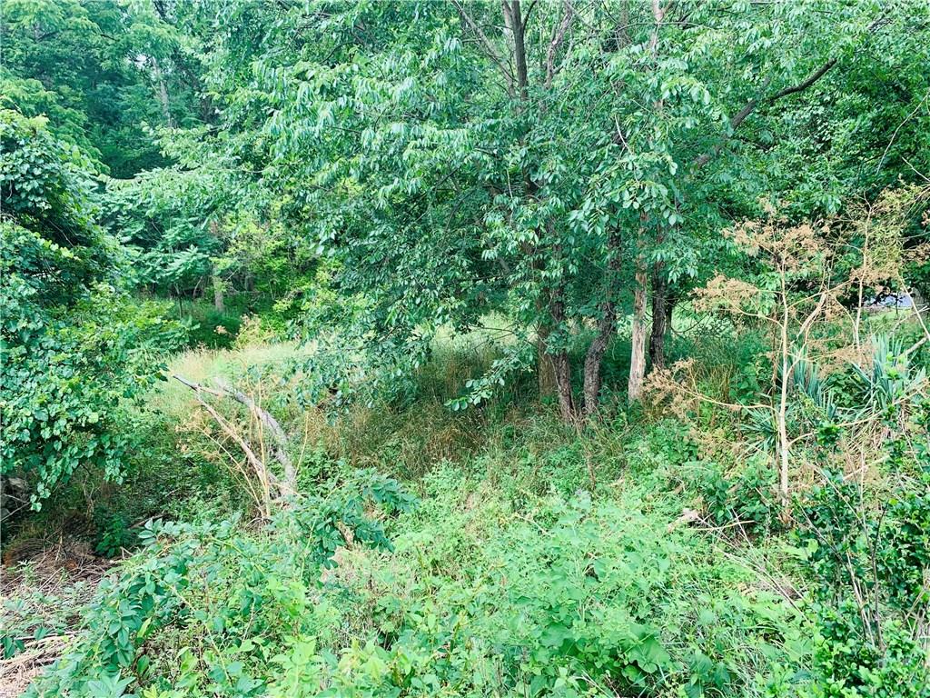 1138 Logan Road Bethel Park, PA 15102 - Photo 13 of 15 a view of a lush green forest with lots of trees