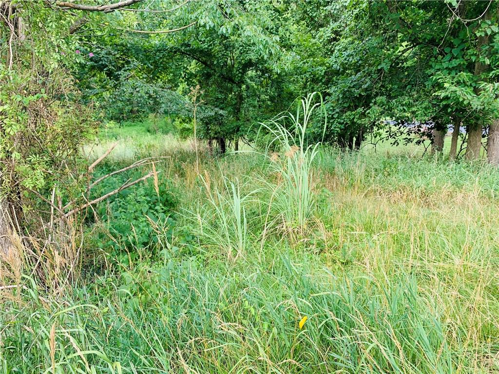 1138 Logan Road Bethel Park, PA 15102 - Photo 14 of 15 a view of a lush green space