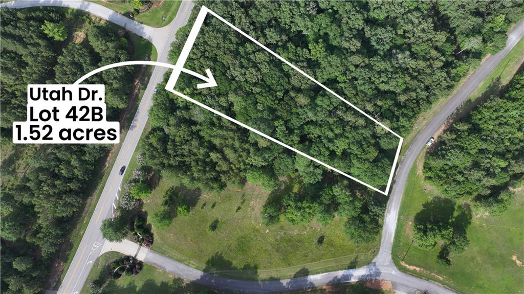 0 Utah Drive Elberton, GA 30635 - Photo 18 of 39 a view of a forest