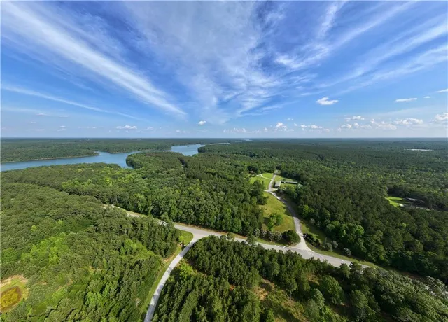 a view of a forest with a street