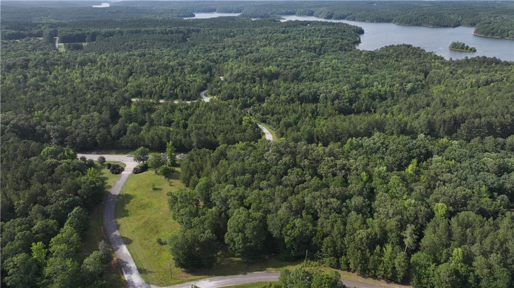 0 Utah Drive Elberton, GA 30635 - Photo 30 of 39 a view of a forest with a street