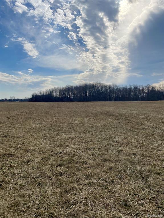 7415 West Frances Road Flushing, MI 48433 - Photo 2 of 5 Gallery Image 2