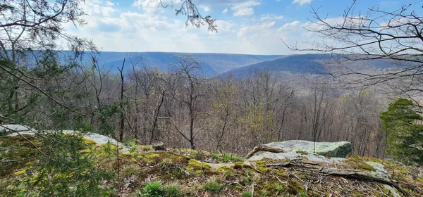 $125,000 | 0 Roth Point Road, Unit 5, Altamont, TN 37301
