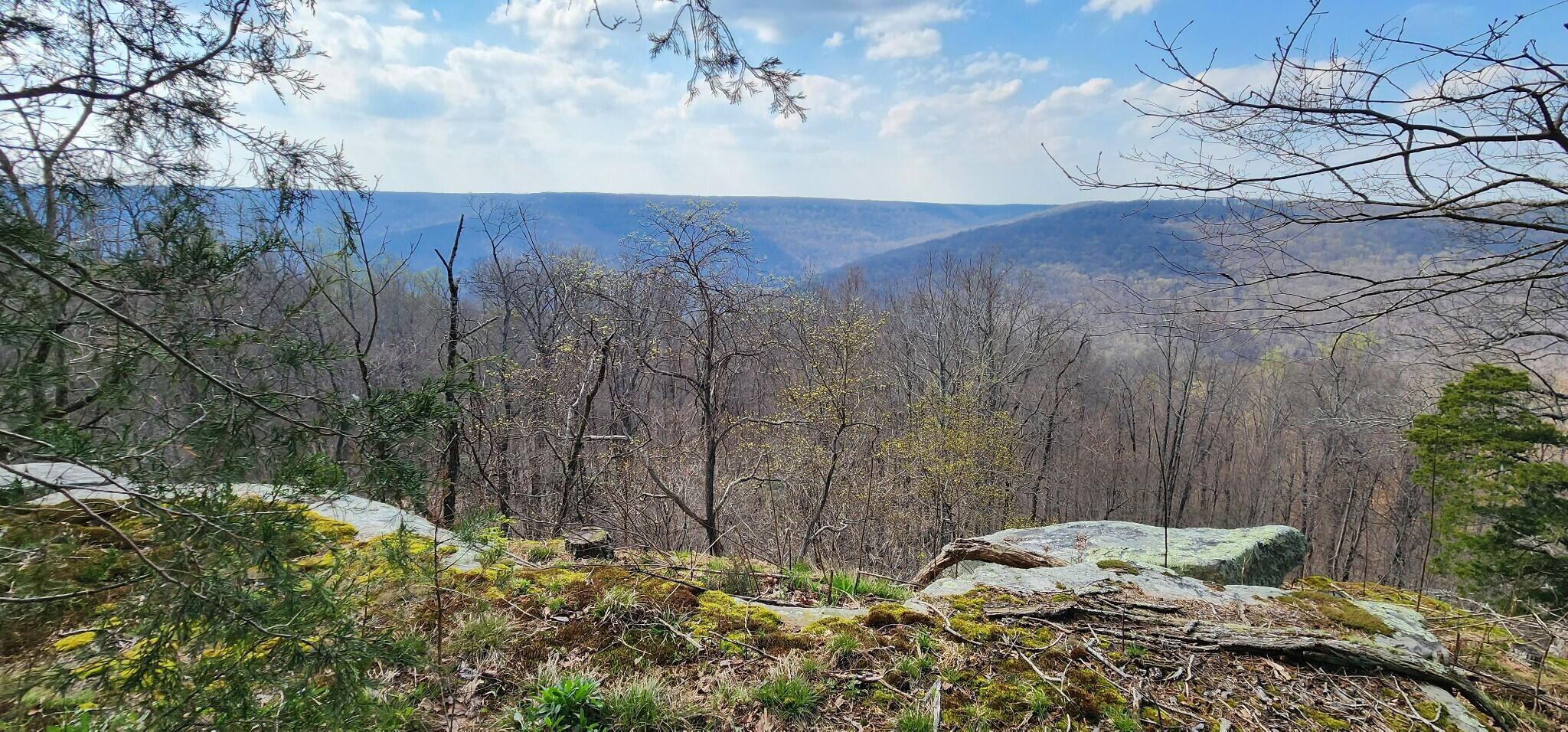 0 Roth Point Road, Unit 5 Altamont, TN 37301 - Photo 11 of 41 10
