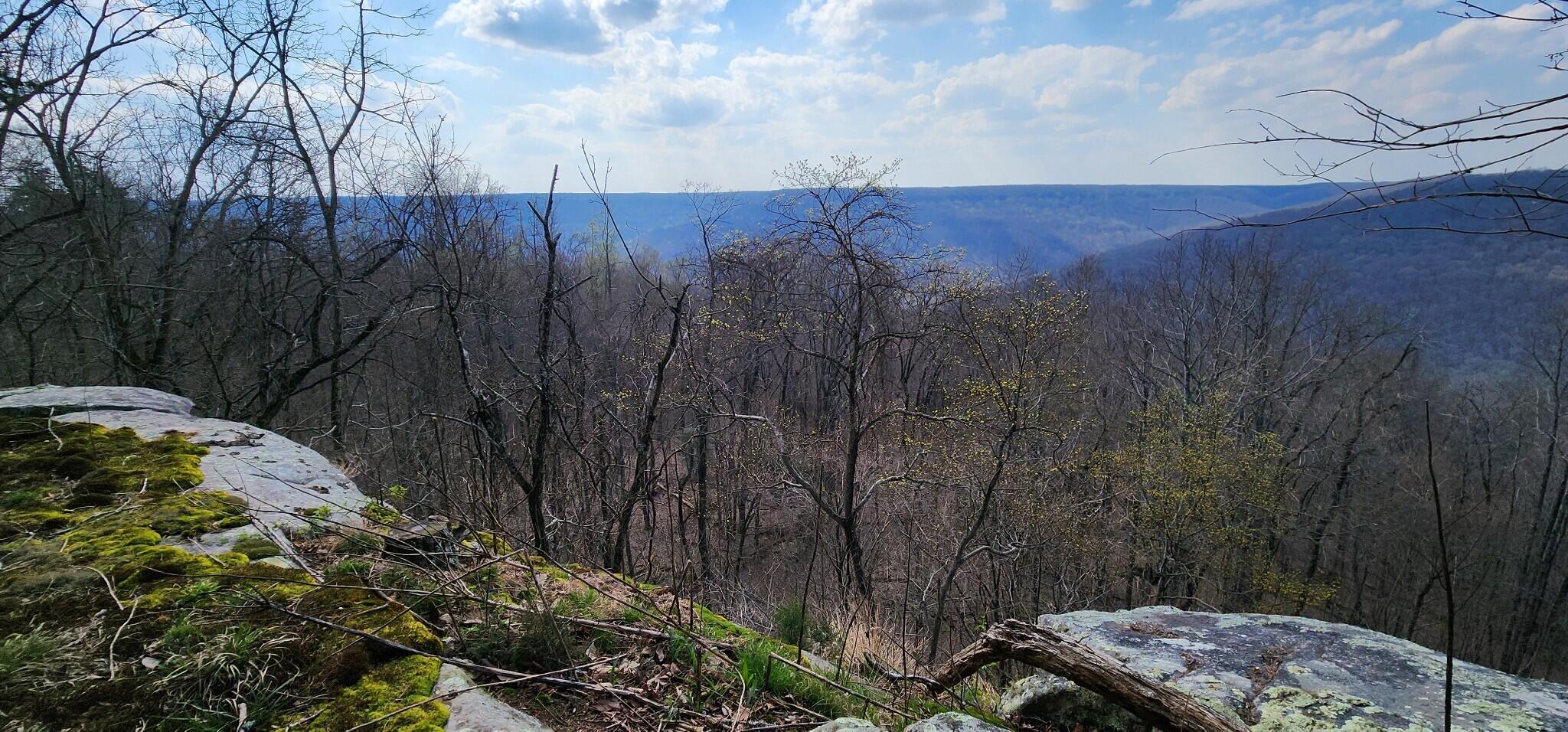 0 Roth Point Road, Unit 5 Altamont, TN 37301 - Photo 15 of 41 14