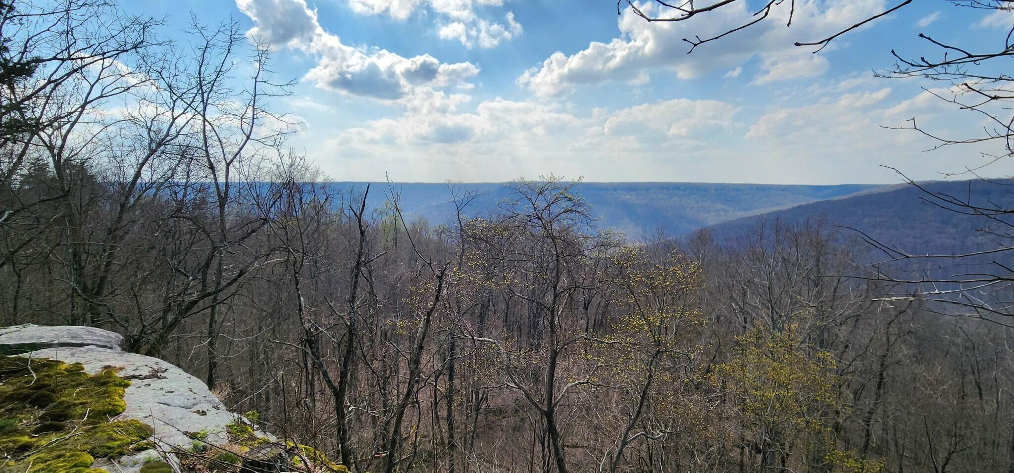 0 Roth Point Road, Unit 5 Altamont, TN 37301 - Photo 16 of 41 15