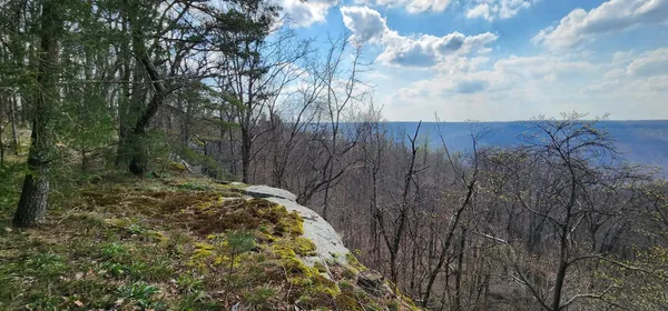 $125,000 | 0 Roth Point Road, Unit 5, Altamont, TN 37301