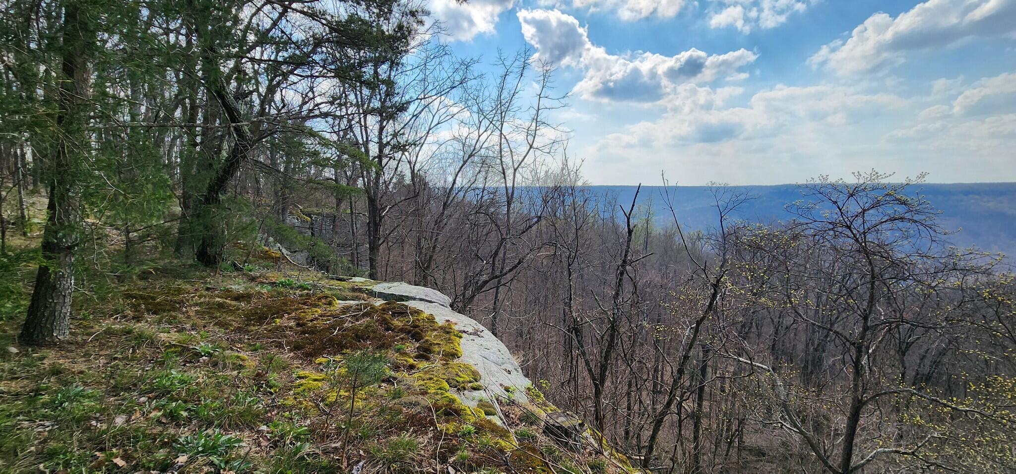 0 Roth Point Road, Unit 5 Altamont, TN 37301 - Photo 17 of 41 16