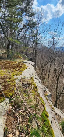 $125,000 | 0 Roth Point Road, Unit 5, Altamont, TN 37301