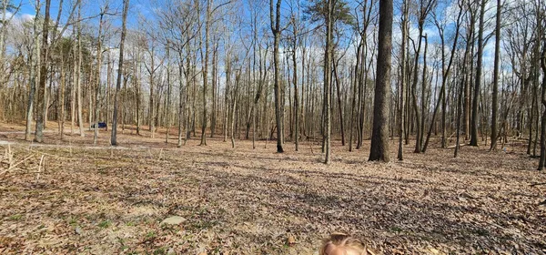 $125,000 | 0 Roth Point Road, Unit 5, Altamont, TN 37301