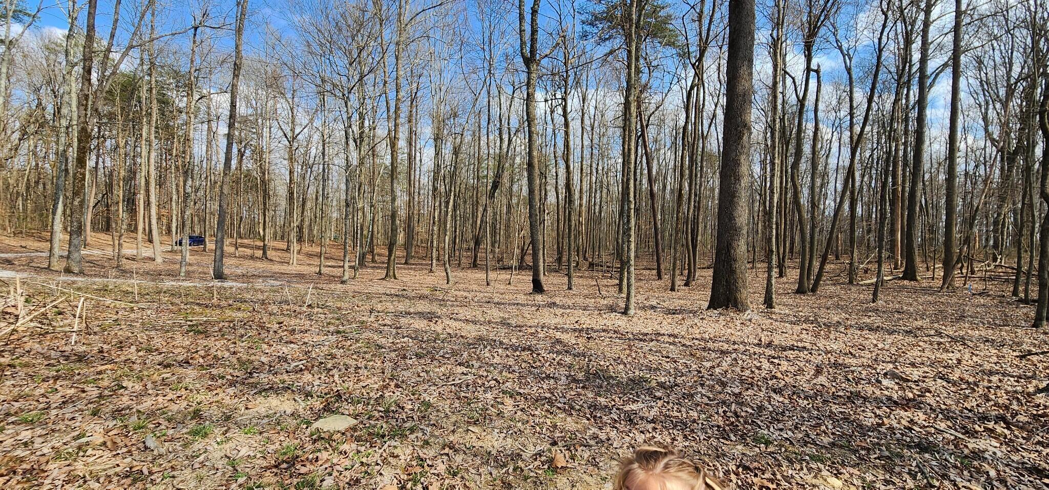 0 Roth Point Road, Unit 5 Altamont, TN 37301 - Photo 25 of 41 24