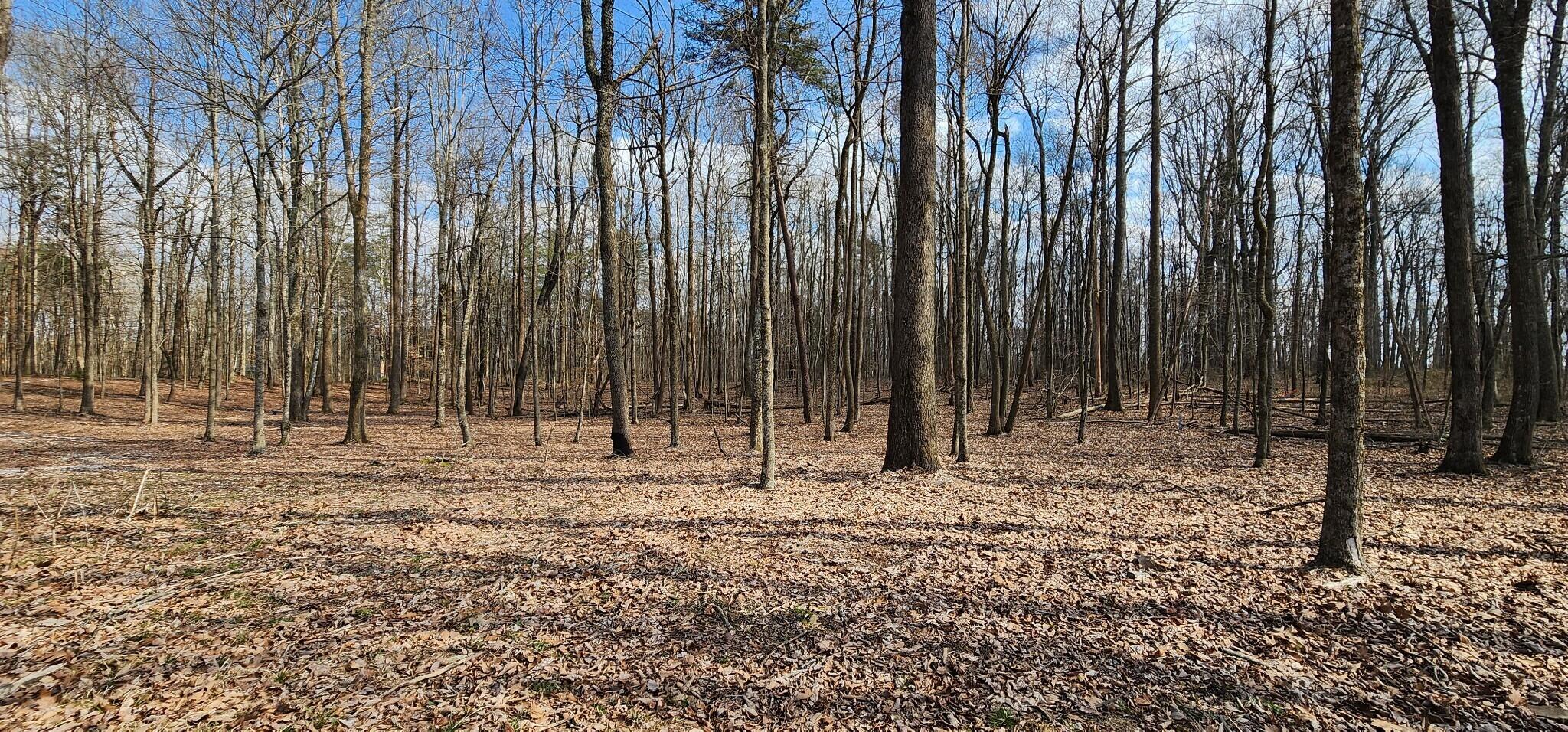0 Roth Point Road, Unit 5 Altamont, TN 37301 - Photo 27 of 41 26