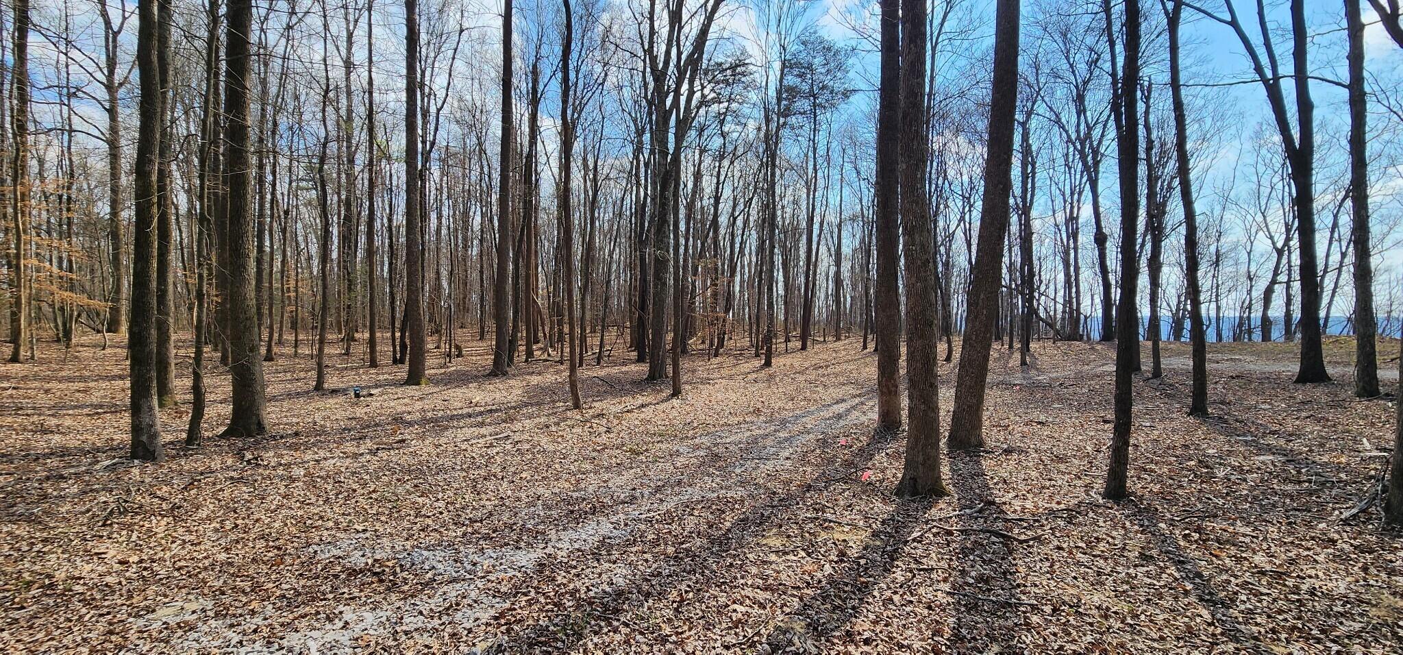 0 Roth Point Road, Unit 5 Altamont, TN 37301 - Photo 29 of 41 28