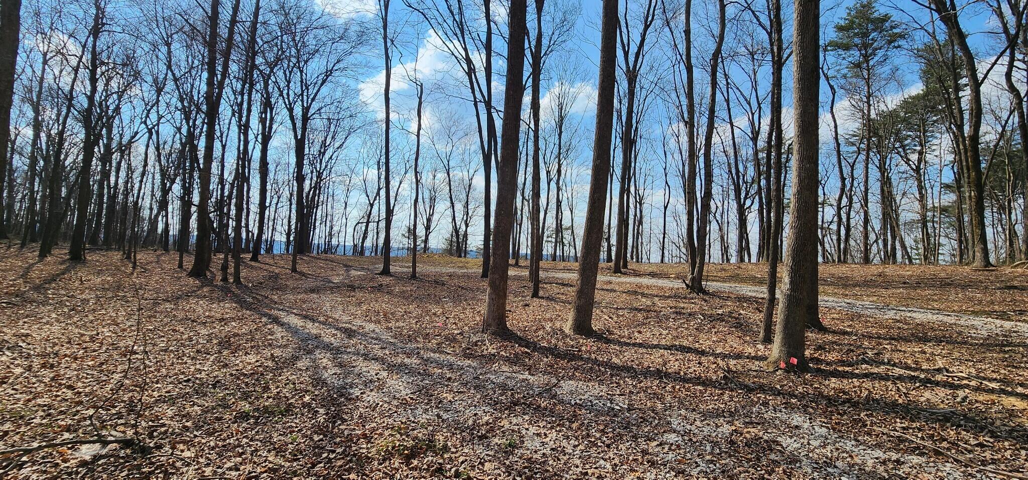 0 Roth Point Road, Unit 5 Altamont, TN 37301 - Photo 30 of 41 29